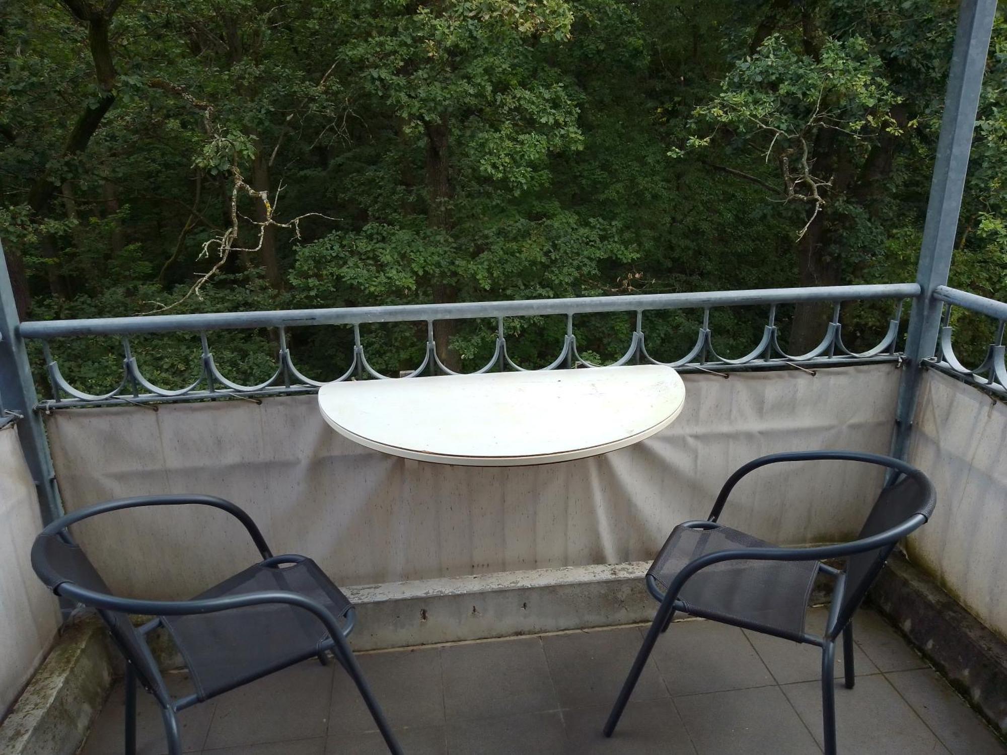 Apartment Preisselpoehl Plauen Eksteriør bilde